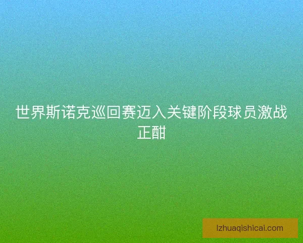 世界斯诺克巡回赛迈入关键阶段球员激战正酣